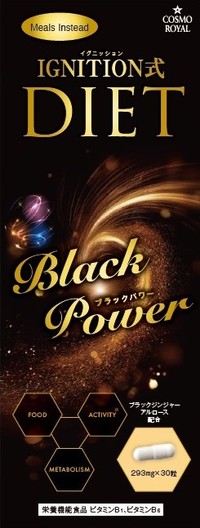 Ｎｅｗイグニッション式ブラックパワー　19400