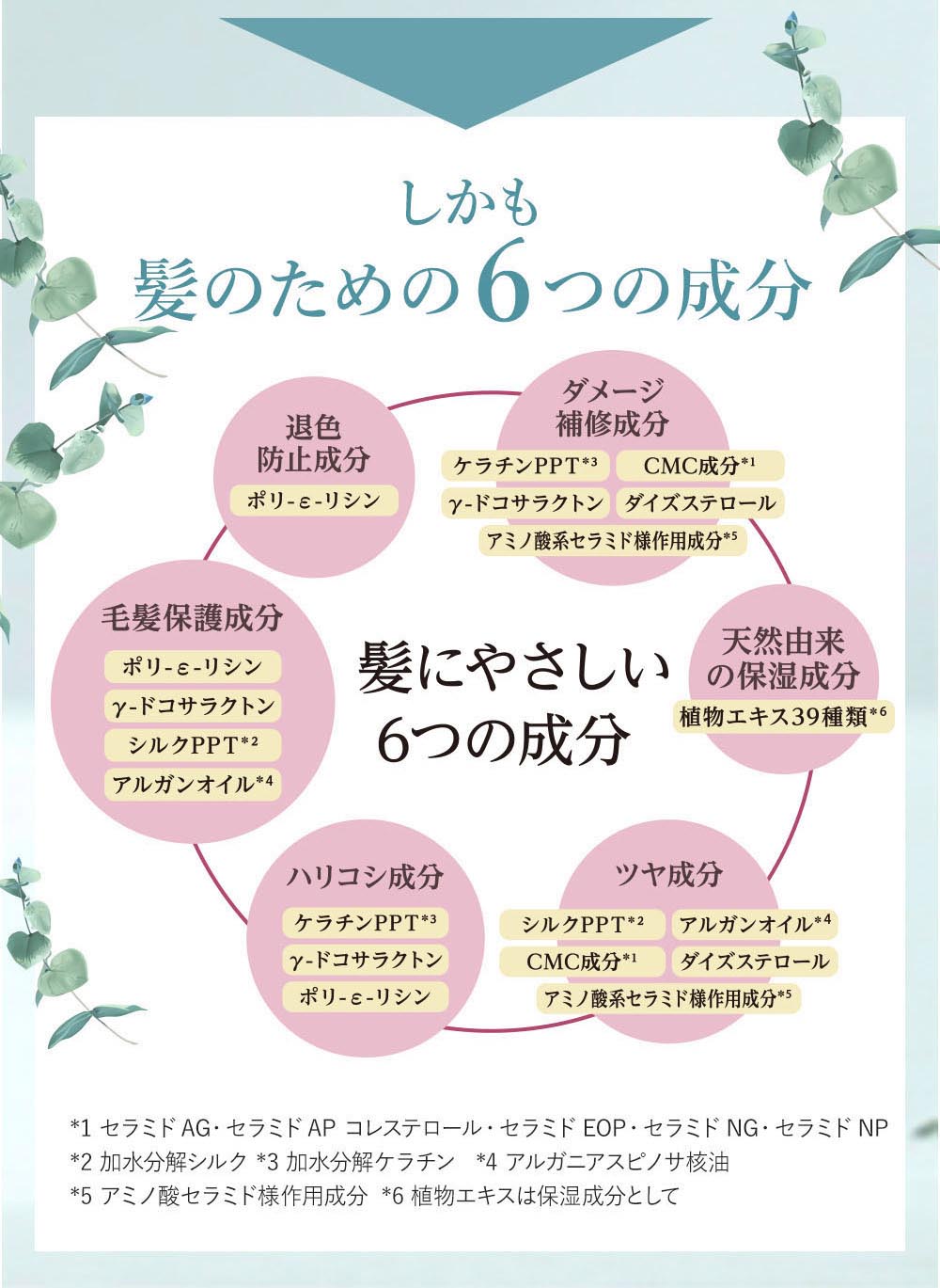 髪のための6つの成分